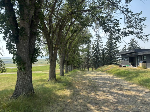 Image1
