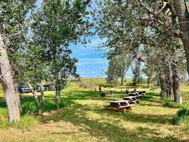 picnic