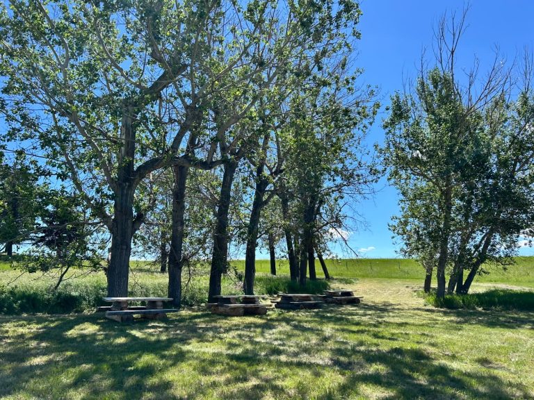 picnic_area